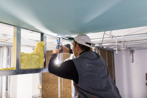 Best Spray Foam Insulation in O, MI