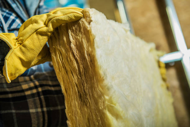 Types of Insulation We Offer in Mio, MI