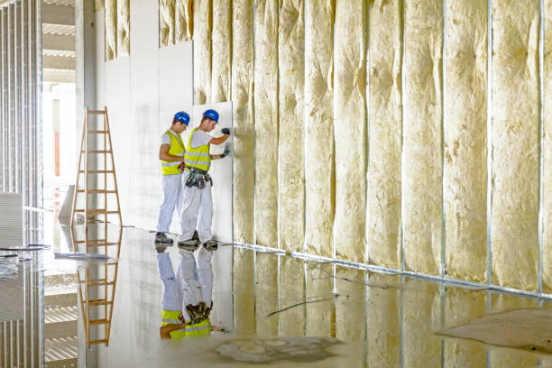 Best Energy Efficiency Insulation in O, MI